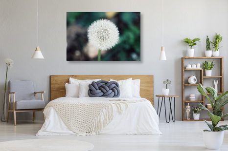 OBRAZ BÍLÁ NADÝCHANÁ PAMPELIŠKA - OBRAZY - TOTÁLNÍ VÝPRODEJ 🔥