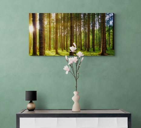 REGGEL AZ ERDŐBEN - TERMÉSZET- ÉS TÁJKÉPEK - KÉPEK