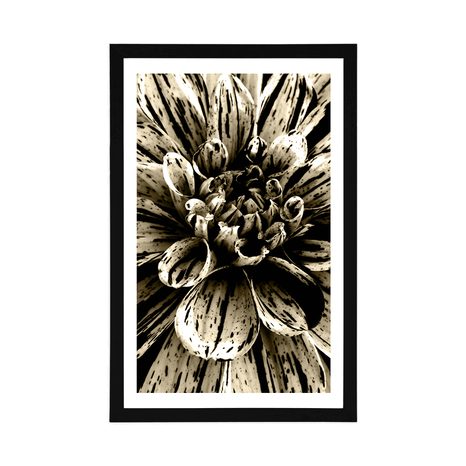 AFFICHE AVEC PASSE-PARTOUT – DAHLIA EXOTIQUE EN SÉPIA - NOIR ET BLANC - AFFICHES