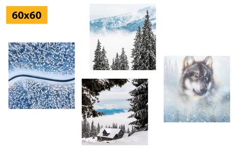 SET OBRAZŮ VLK V TAJEMNÉM LESE - SESTAVY OBRAZŮ - OBRAZY