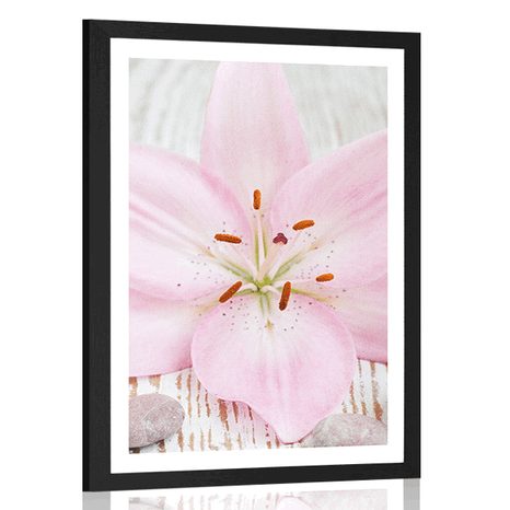 POSTER WITH MOUNT PINK LILY AND ZEN STONES - FENG SHUI - POSTERS
