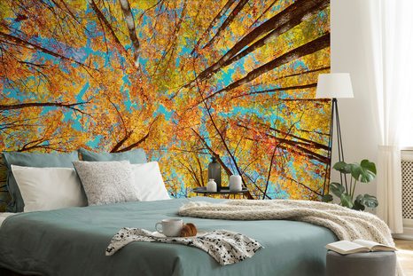 FOTOTAPETE HERBSTLICHE BAUMKRONEN - TAPETEN MIT NATURMOTIVEN - TAPETEN