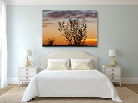 КАРТИНА НА ПЛАТНО – КЛОНКИ ПРИ ЗАЛЕЗ - КАРТИНИ НА ПРИРОДАТА И ПЕЙЗАЖИ - КАРТИНИ