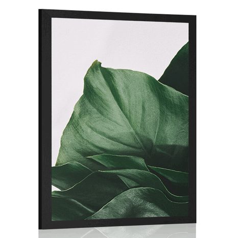 POSTER ENCHANTING MONSTERA LEAF - FLOWERS - POSTERS