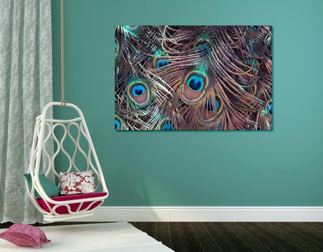 SLIKA PAVJE PERO - SLIKE TIHOŽITJE - SLIKE