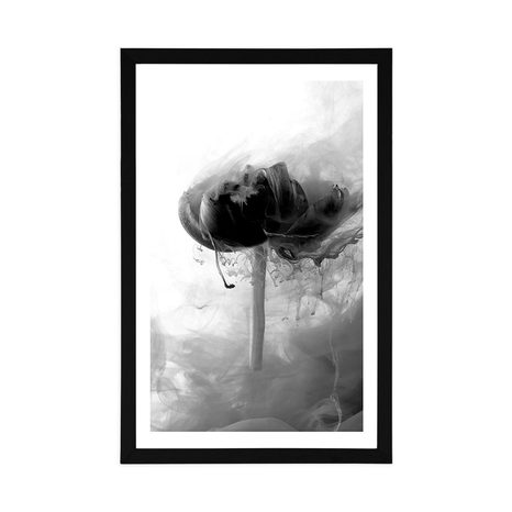 AFFICHE – FLEUR INTÉRESSANTE EN NOIR ET BLANC - NOIR ET BLANC - AFFICHES