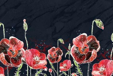 SELBSTKLEBENDE TAPETE ROTE MOHNBLUMEN AUF SCHWARZEM HINTERGRUND - SELBSTKLEBENDE TAPETEN - TAPETEN