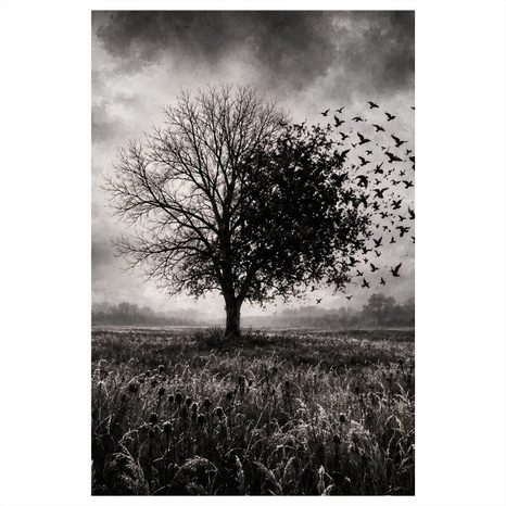 QUADRO SU TELA – ALBERO DELLA VITA E STORMO DI UCCELLI - QUADRI HALLOWEEN E HORROR - STAMPE E QUADRI