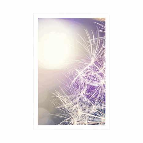 POSTER DETAILANSICHT LÖWENZAHN - BLUMEN - POSTER