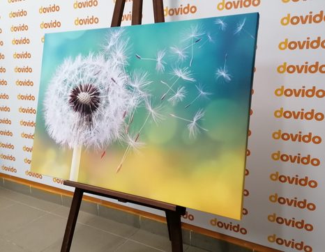 TABLOU PĂPĂDIE MAGICĂ - TABLOU FLORI - TABLOURI