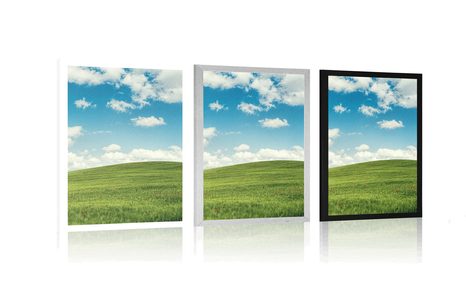 POSTER WUNDERSCHÖNER TAG AUF DER WIESE - NATUR - POSTER