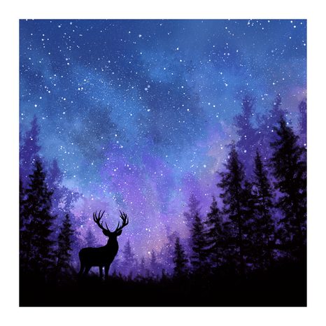 QUADRO SU TELA – INCANTO INVERNALE DEL CIELO NOTTURNO - QUADRI NATALIZI E INVERNALI - STAMPE E QUADRI