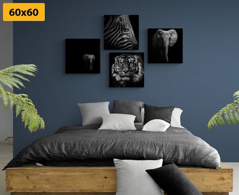 BILDER-SET TIERE IM SCHWARZ-WEISSEN STIL - BILDERSETS - BILDER