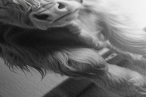 WANDBILD KUH MIT KOPFHÖRERN AUF DEM LAUFBAND - WANDBILDER BÜFFEL UND KÜHE - BILDER