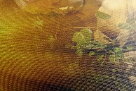 OBRAZ ANDĚL S PAPRSKY SLUNCE - OBRAZY ANDĚLŮ - OBRAZY