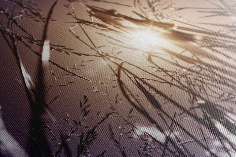 CANVAS PRINT FIELD GRASS - PICTURES OF NATURE AND LANDSCAPE - PICTURES