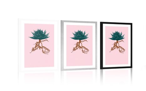 POSTER MIT PASSEPARTOUT EINZIGARTIGE ALOE VERA - MOTIVE AUS UNSERER WERKSTATT - POSTER