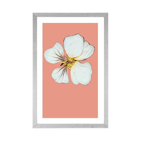 PLAKÁT S PASPARTOU NĚŽNOST KVĚTU KAPUCÍNKY - MOTIVY Z NAŠÍ DÍLNY - PLAKÁTY