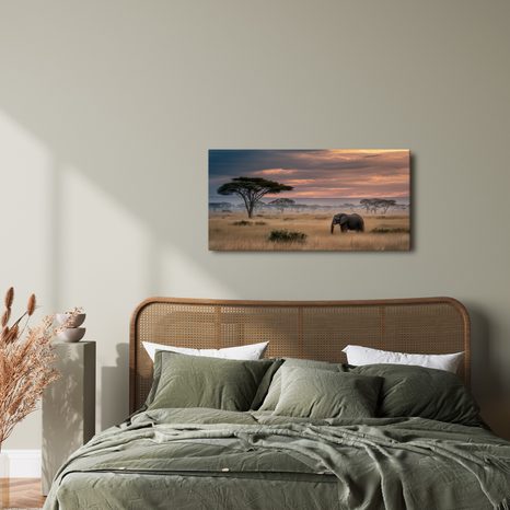 OBRAZ SLON NA SAVANĚ PŘI ZÁPADU - OBRAZY SLONI - OBRAZY