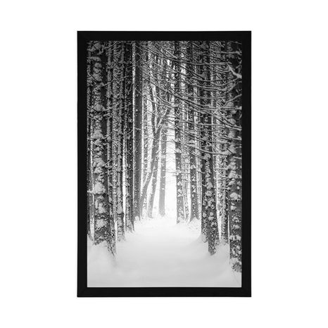 PLAKAT GOZD PREKRIT S SNEGOM V ČRNOBELI VARIANTI - ČRNOBELI - PLAKATI