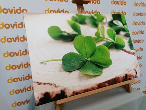 SLIKA ZELENE ŠTIRIPERESNE DETELJICE - SLIKE TIHOŽITJE - SLIKE