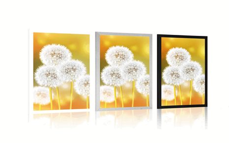 PLAGÁT NADÝCHANÁ PÚPAVA - KVETY - PLAGÁTY