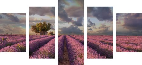 5 RÉSZES KÉP LEVANDULA MEZŐ ORSZÁGJA - TERMÉSZET- ÉS TÁJKÉPEK - KÉPEK