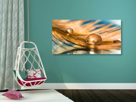 WANDBILD WASSERTROPFEN AUF GOLDENER FEDER - STILLLEBEN-BILDER - BILDER