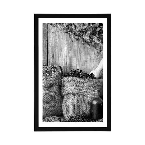 PLAKÁT S PASPARTOU LÉČIVÉ BYLINKY V ČERNOBÍLÉM PROVEDENÍ - ČERNOBÍLÉ - PLAKÁTY