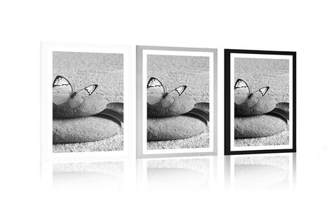 POSTER – FARFALLA SU PIETRA ZEN IN BIANCO E NERO - NERO E BIANCO - POSTER
