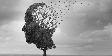 OBRAZ DRZEWO W KSZTAŁCIE TWARZY - OBRAZY CZARNO-BIAŁE - OBRAZY