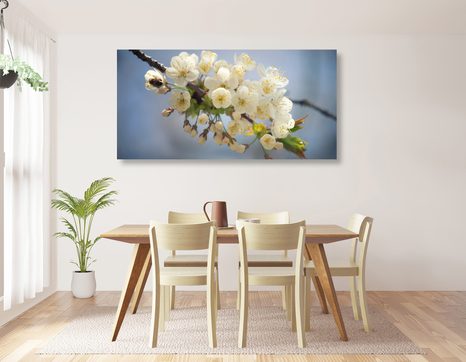 WANDBILD BLÜHENDER KIRSCHBLÜTENZWEIG - BILDER BLUMEN - BILDER