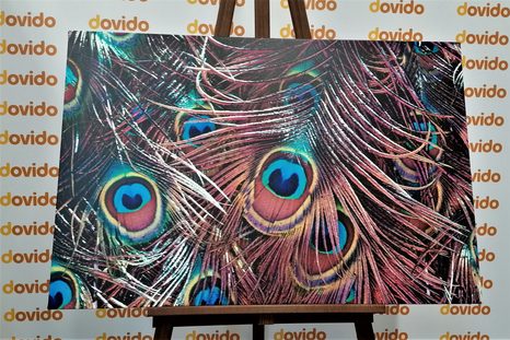 SLIKA PAVJE PERO - SLIKE TIHOŽITJE - SLIKE