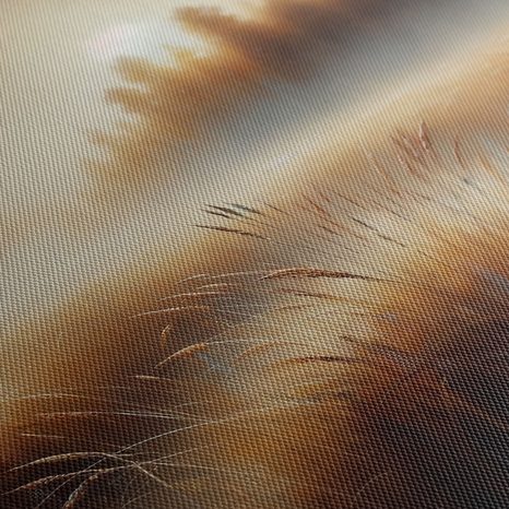 WANDBILD RUHIGES SCHILF - BILDER VON SONNENAUFGANG UND SONNENUNTERGANG - BILDER