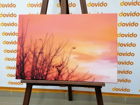 TABLOU CERUL COLORAT - TABLOU NATURĂ ȘI PEISAJE NATURALE - TABLOURI