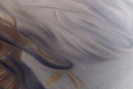 TABLOU RĂDĂCINILE COPACULUI ÎNGHEȚATE - TABLOU NATURĂ ȘI PEISAJE NATURALE - TABLOURI