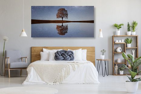 WANDBILD STERNENHIMMEL ÜBER EINEM ALLEINSTEHENDEN BAUM - BILDER VON NATUR UND LANDSCHAFT - BILDER