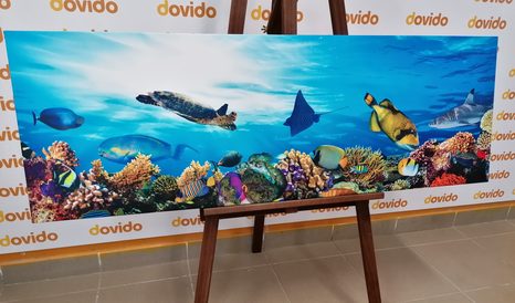 WANDBILD KORALLENRIFF MIT FISCHEN UND SCHILDKRÖTEN - WANDBILDER MEERESTIERE - BILDER