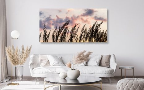OBRAZ TRÁVA PŘI ZAPADAJÍCÍM SLUNCI - OBRAZY PŘÍRODY A KRAJINY - OBRAZY