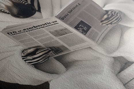 STAMPA SU TELA – ZEBRA CON GIORNALE IN BAGNO - QUADRI DI ZEBRE E GIRAFFE - STAMPE E QUADRI