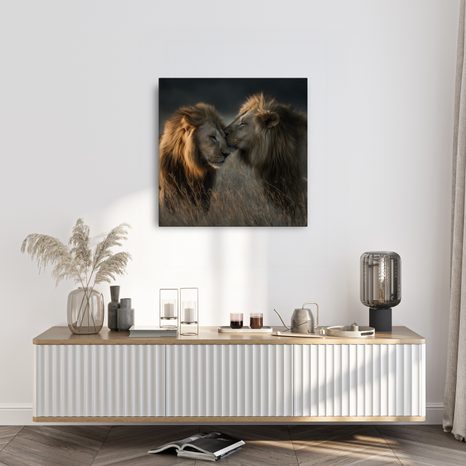 OBRAZ MAJESTÁTNÍ SÍLA PŘÍRODY - OBRAZY LVI A TYGŘI - OBRAZY