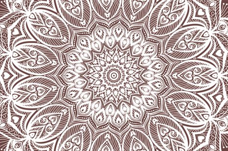 SAMOLEPÍCÍ TAPETA MANDALA HARMONIE NA HNĚDÉM POZADÍ - SAMOLEPÍCÍ TAPETY - TAPETY