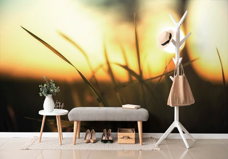 SAMOLEPÍCÍ FOTOTAPETA ZAPADAJÍCÍ SLUNCE V TRÁVĚ - SAMOLEPÍCÍ TAPETY - TAPETY