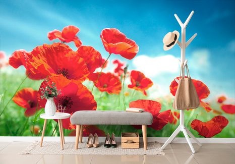 SELBSTKLEBENDE FOTOTAPETE MOHNBLUMEN AUF DER WIESE - SELBSTKLEBENDE TAPETEN - TAPETEN