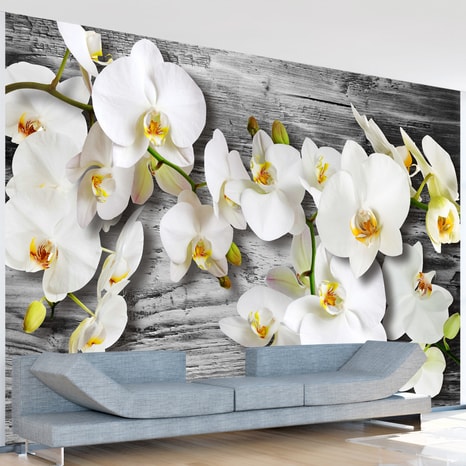 PHOTO WALLPAPER ORCHID
