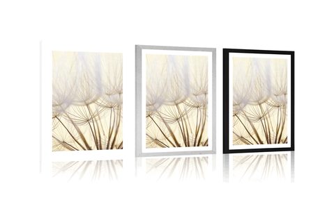 POSTER WITH MOUNT DANDELION SEEDS - FLOWERS - POSTERS