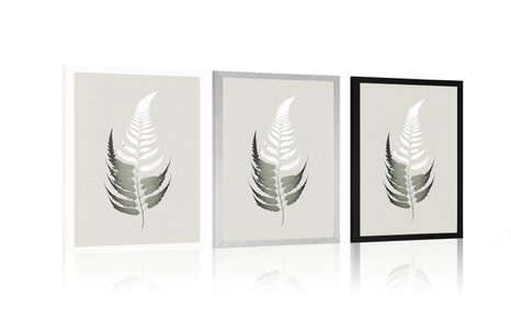 POSTER FRUNZĂ DIN FERIGĂ MINIMALISTĂ - BOTANICE - POSTERE