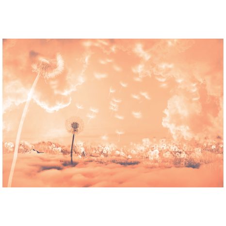 SAMOLEPIACA TAPETA KÚZELNÉ PÚPAVY NA LÚKE PEACH FUZZ - SAMOLEPIACE TAPETY - TAPETY