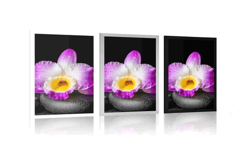 AFFICHE – ORCHIDÉE VIOLETTE SUR PIERRES ZEN AVEC PASSE-PARTOUT - FENG SHUI - AFFICHES