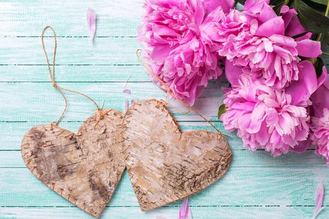 ΕΙΚΌΝΑ ΠΑΙΏΝΙΕΣ ΚΑΙ ΚΑΡΔΙΈΣ ΣΗΜΎΔΑΣ - ΠΊΝΑΚΕΣ VINTAGE ΈΝΑ ΡΕΤΡΌ - ΠΊΝΑΚΕΣ